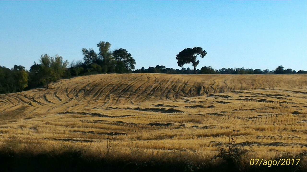 Affittacamere Da Laura Silvi Orvieto Bagian luar foto